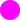 FLUOR FUCHSIE
